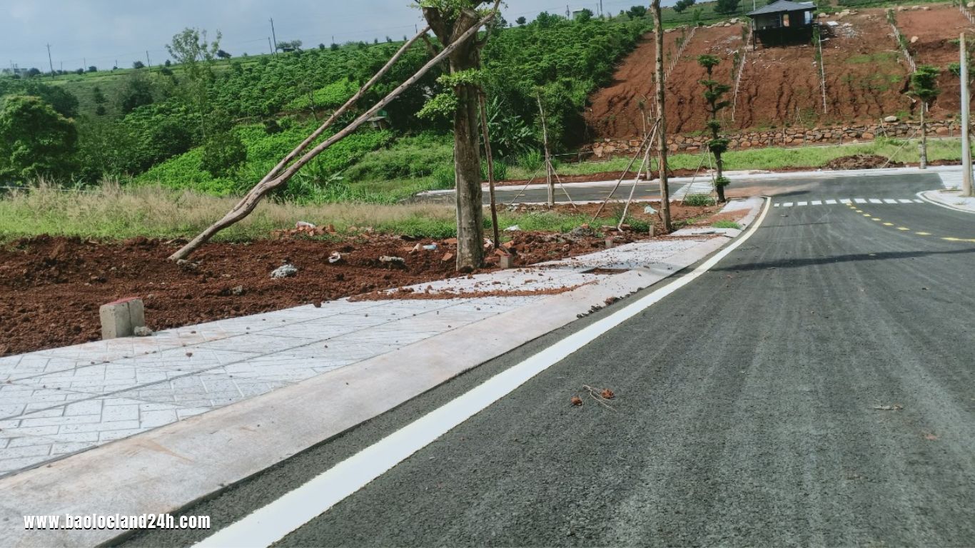 200m2 Lô Đất Nền Lộc Tân Gần Cao Tốc 2025