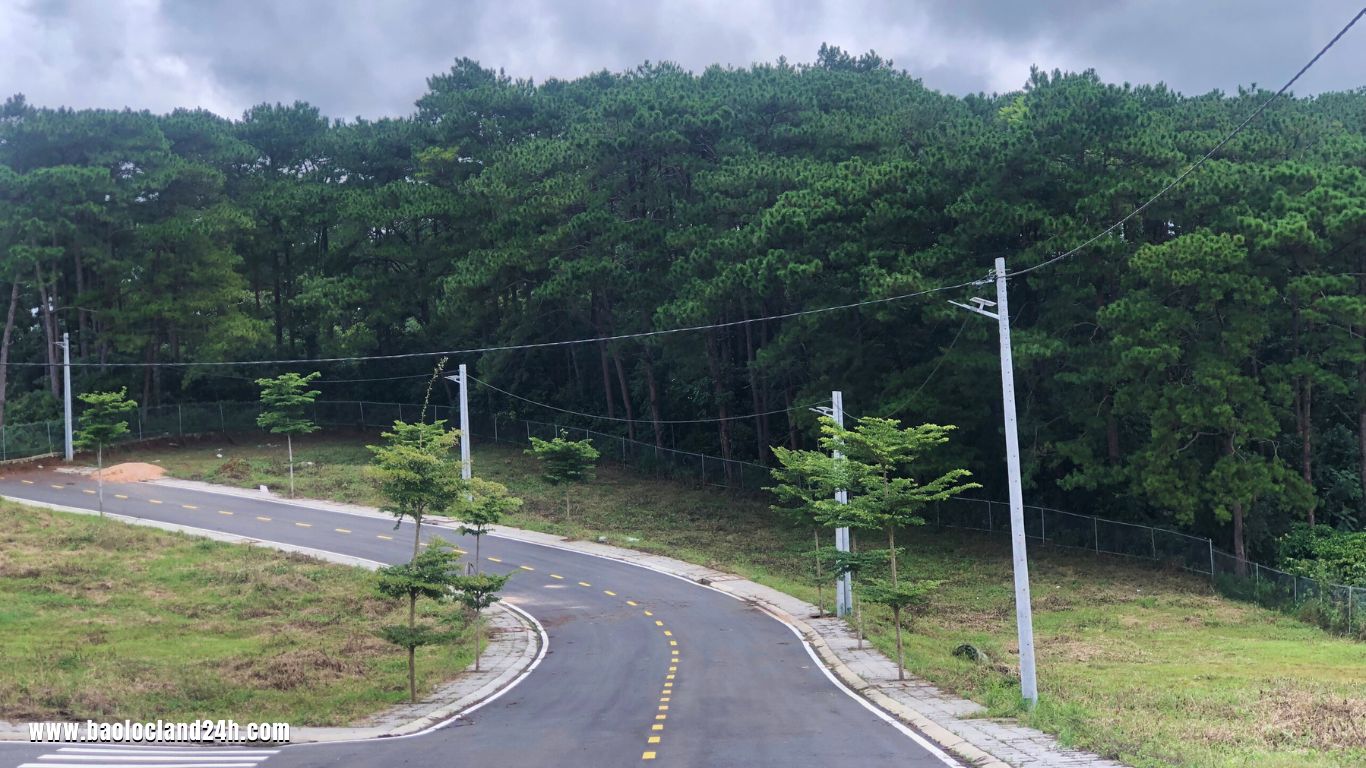 250m2 Lô Đất Nền Lộc Tân Gần Cao Tốc 2025