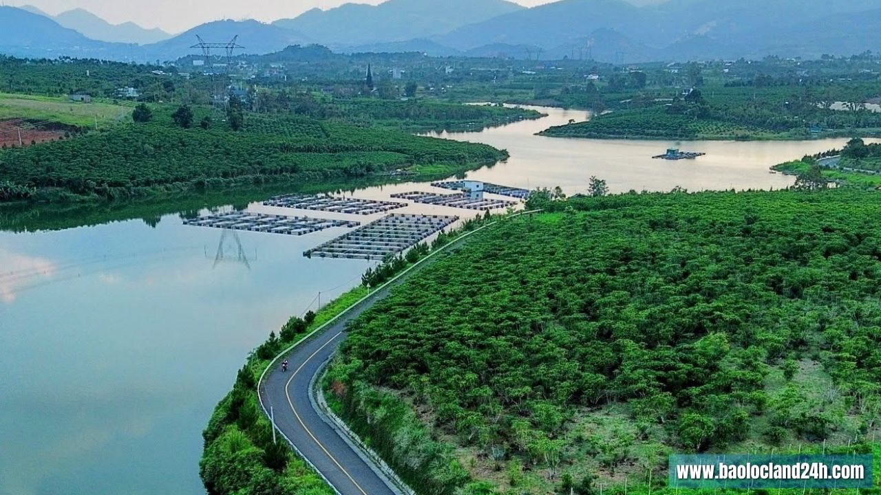 Lô Đất 8000m2 View Hồ Mai Thành