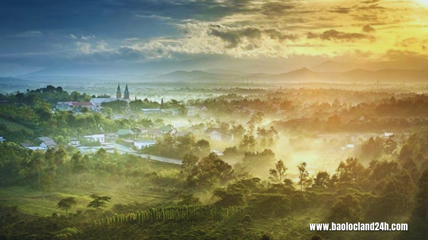 Bảo Lộc Lâm Đồng 2025 - 2026: "Viên Ngọc Xanh" Bừng Sáng Cao Nguyên