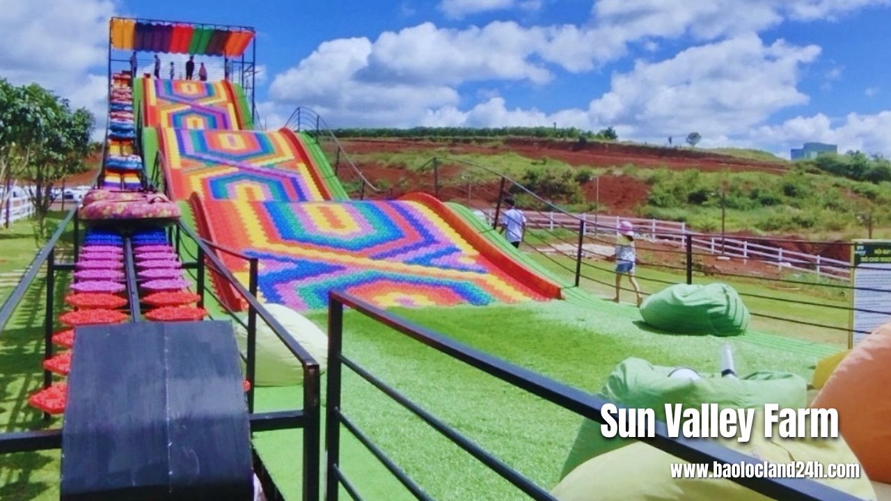 Sun Valley Farm – Địa Điểm Check In Đẹp Ở Bảo Lộc