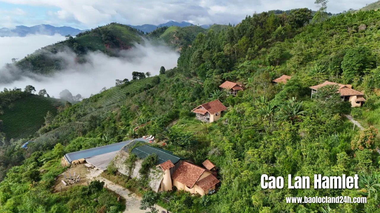 Cao Lan Hamlet Bảo Lộc