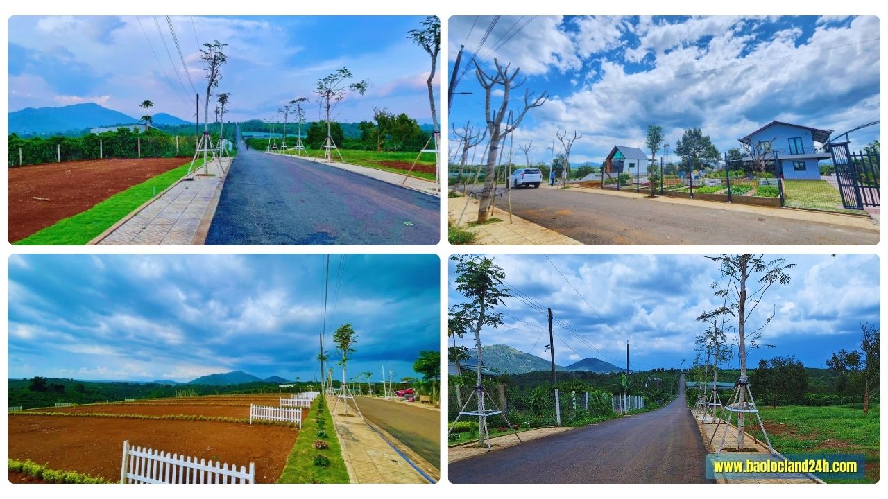 dili green hill