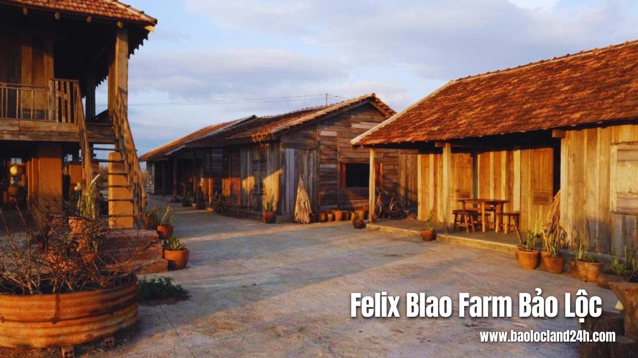 Felix Blao Farm Bảo Lộc