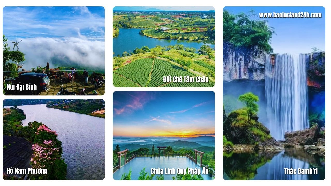 Kinh Nghiệm Du Lịch Bảo Lộc Tự Túc 2025 Bỏ Túi Bí Kíp Khám Phá Cao Nguyên Mộng Mơ