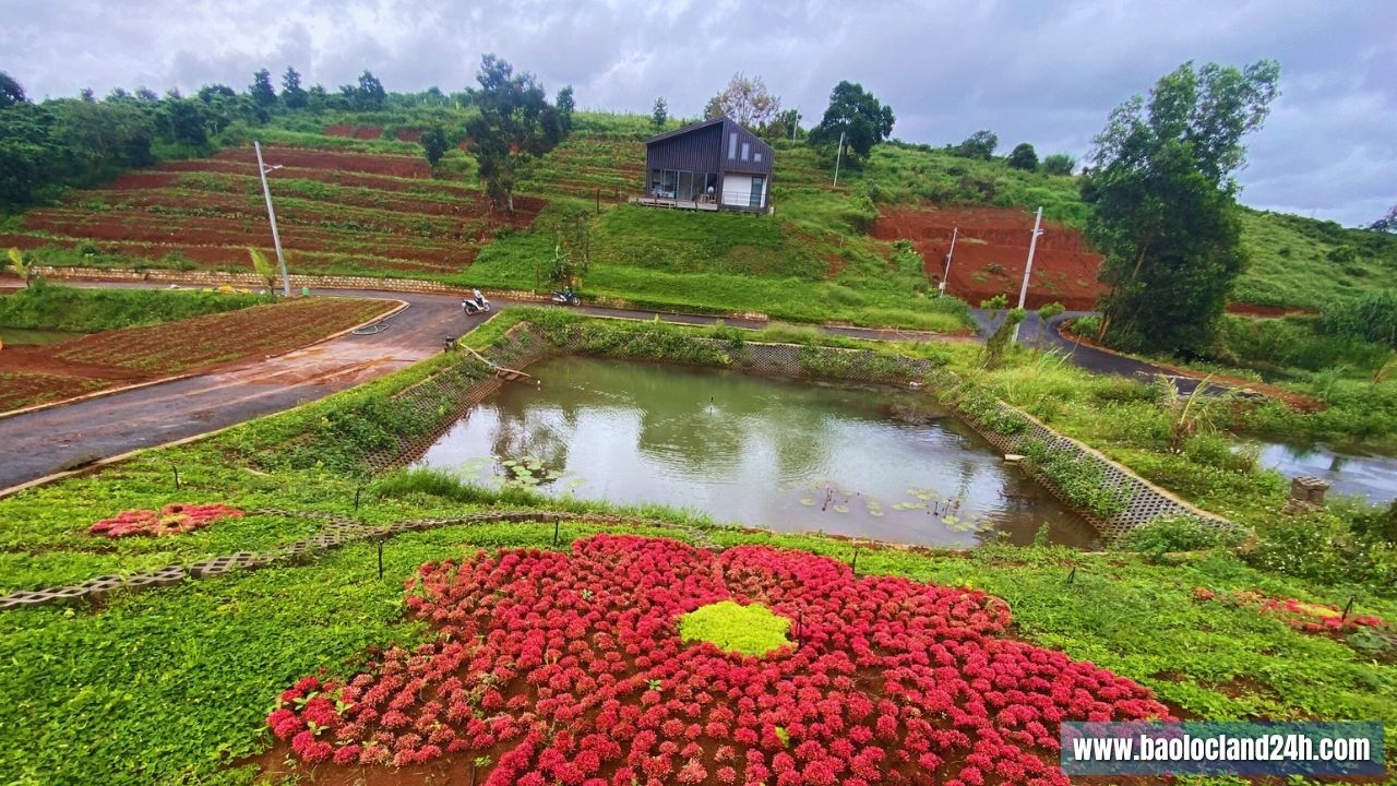 Lô Đất Lộc An 200m2 View Đồ