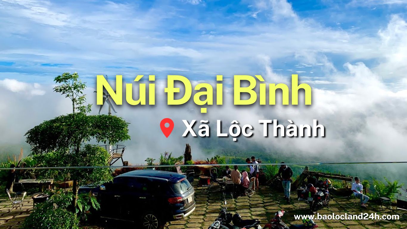 Núi Đại Bình Bảo Lộc: "Nóc Nhà" Săn Mây - Trải Nghiệm Tuyệt Vời 2025