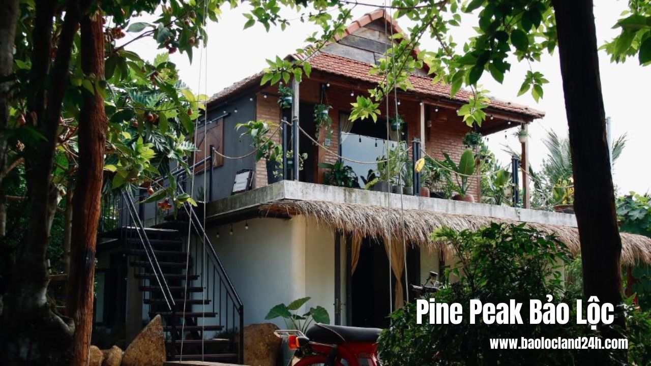 Pine Peak Bảo Lộc