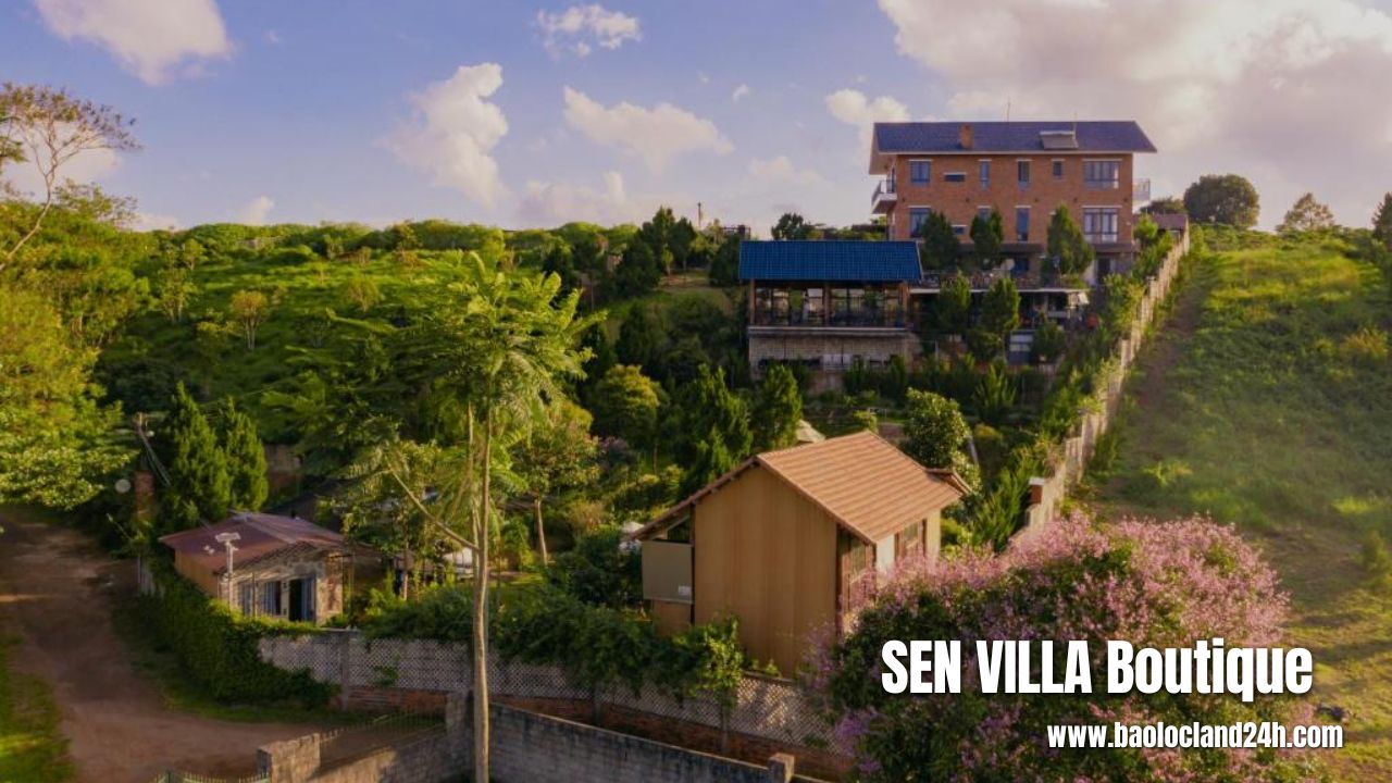 SEN VILLA Boutique bảo lộc