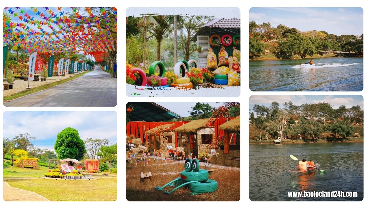 tâm châu farm bảo lộc