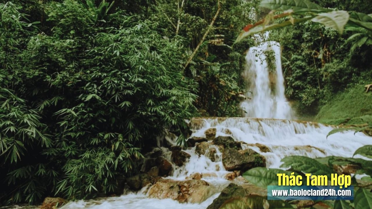 Thác Tam Hợp Bảo Lộc