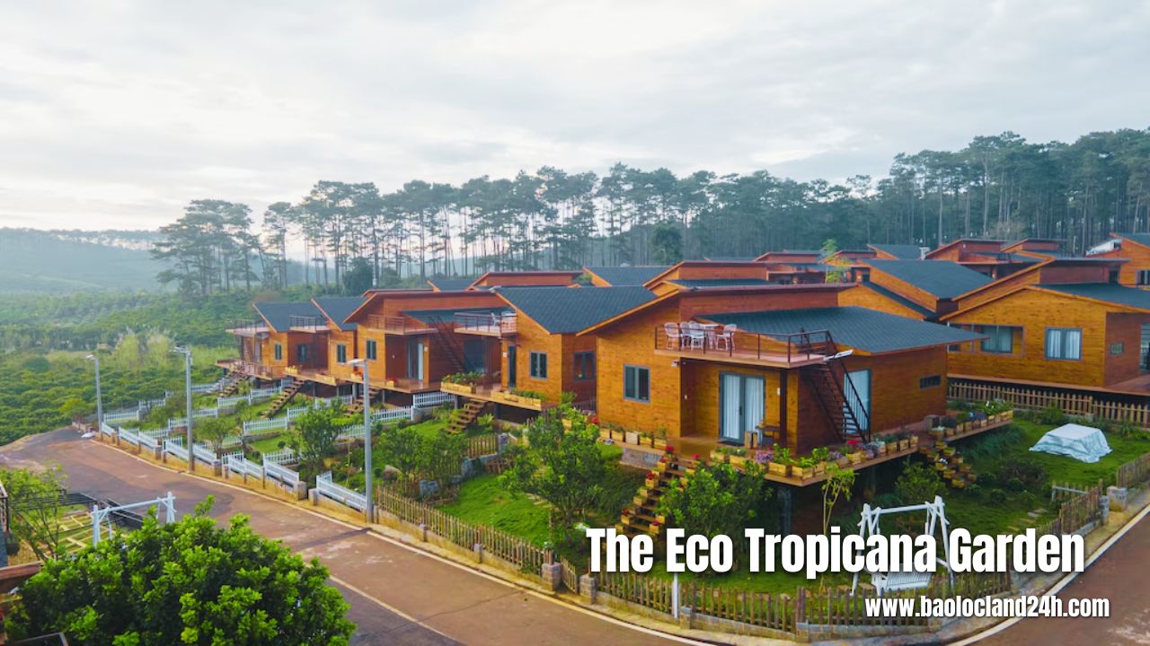 The Eco Tropicana Garden Bảo Lộc
