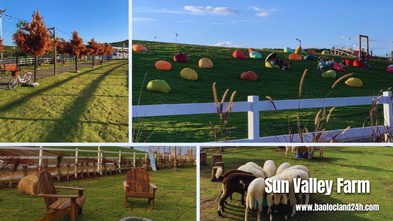 Sun Valley Farm – Địa Điểm Check In Đẹp Ở Bảo Lộc