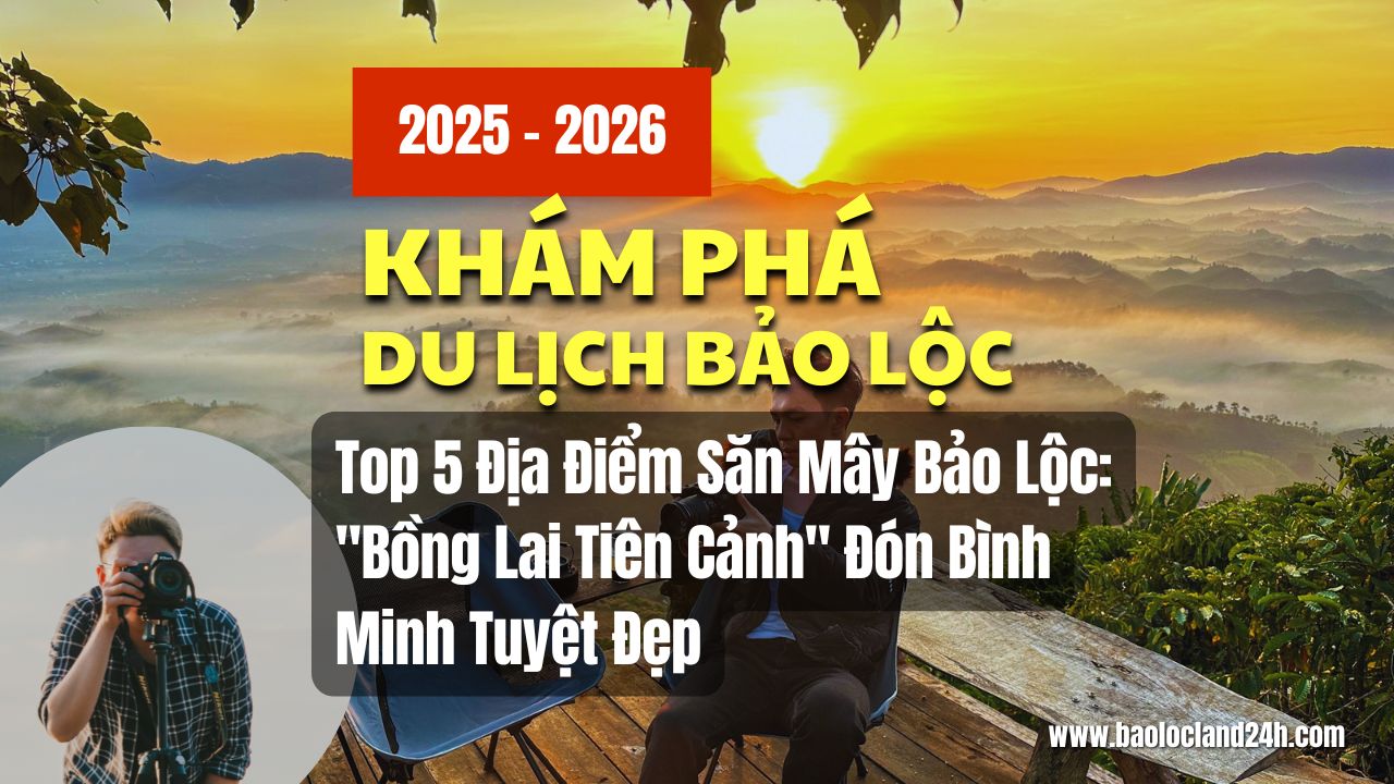 Top 5 Địa Điểm Săn Mây Bảo Lộc: 