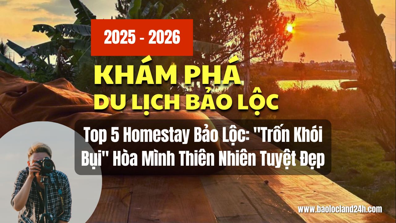 Top 5 Homestay Bảo Lộc: 