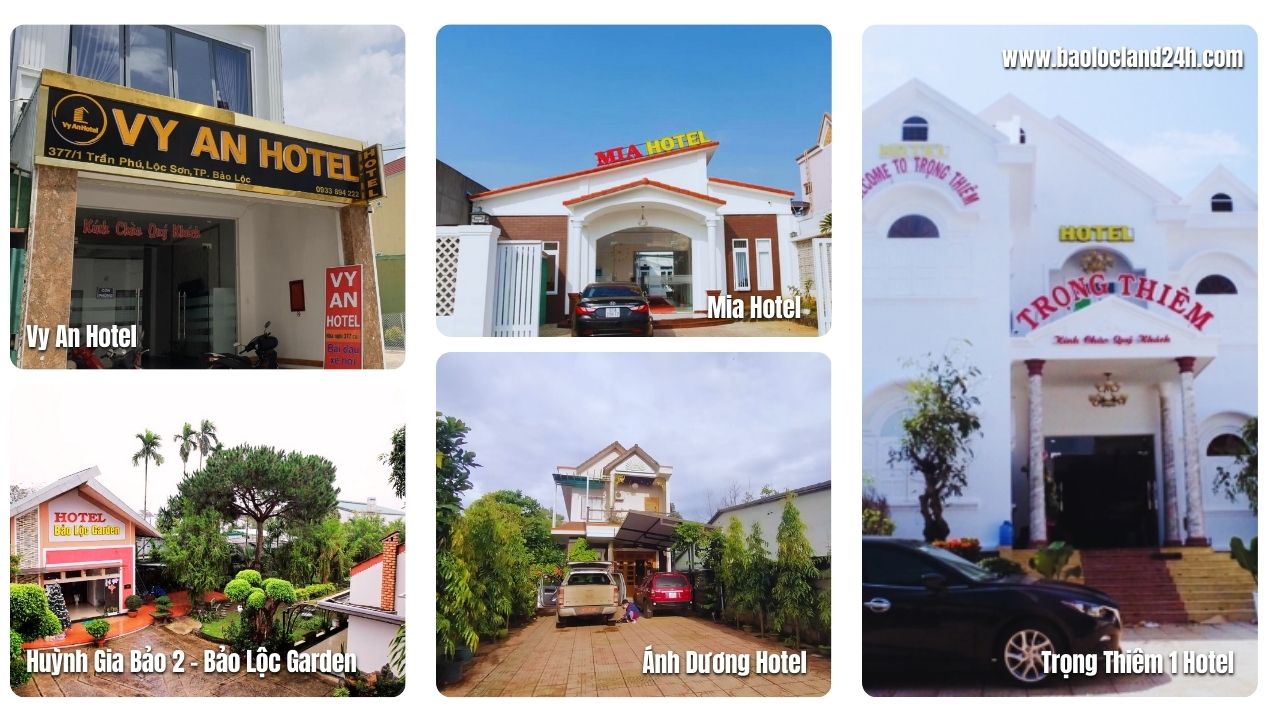 Top 5 Khách Sạn Bảo Lộc Gần Trung Tâm Giá Tốt 2025:  Tiện Nghi, Tiết Kiệm