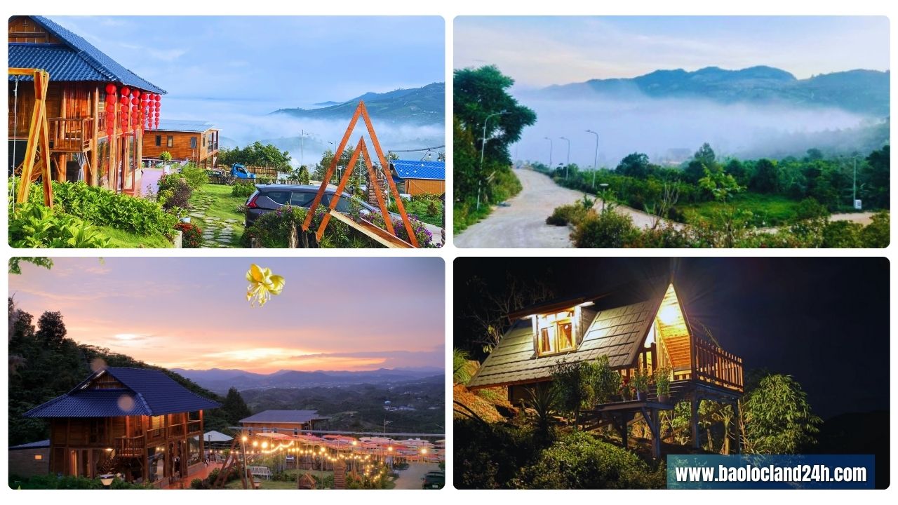 aman blao bảo lộc