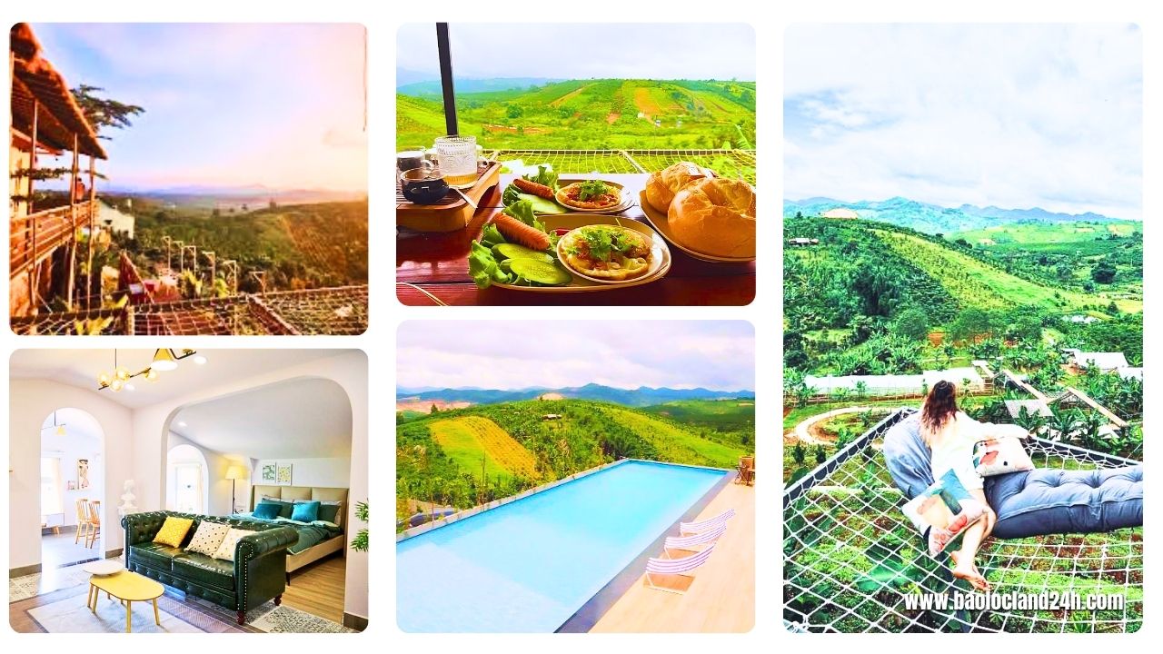 bài đánh giá về adachi farmstay bảo lộc