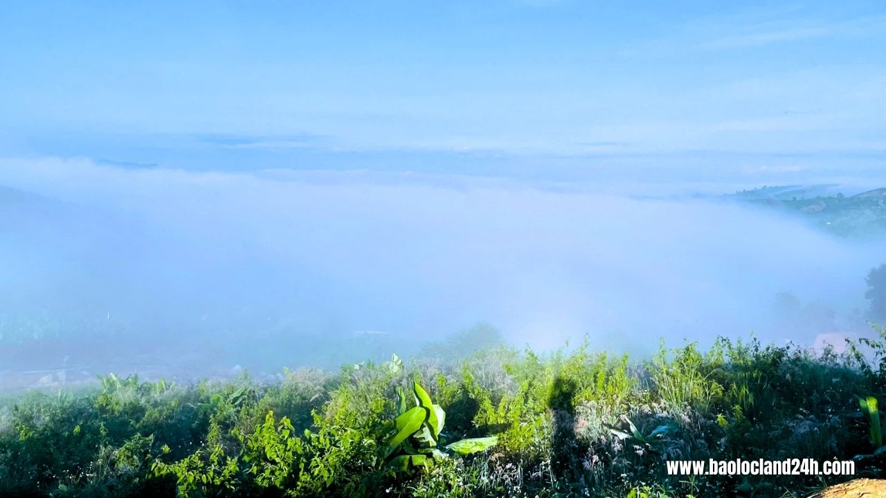 biển mây tại khu nghỉ dưỡng top garden hills 9b