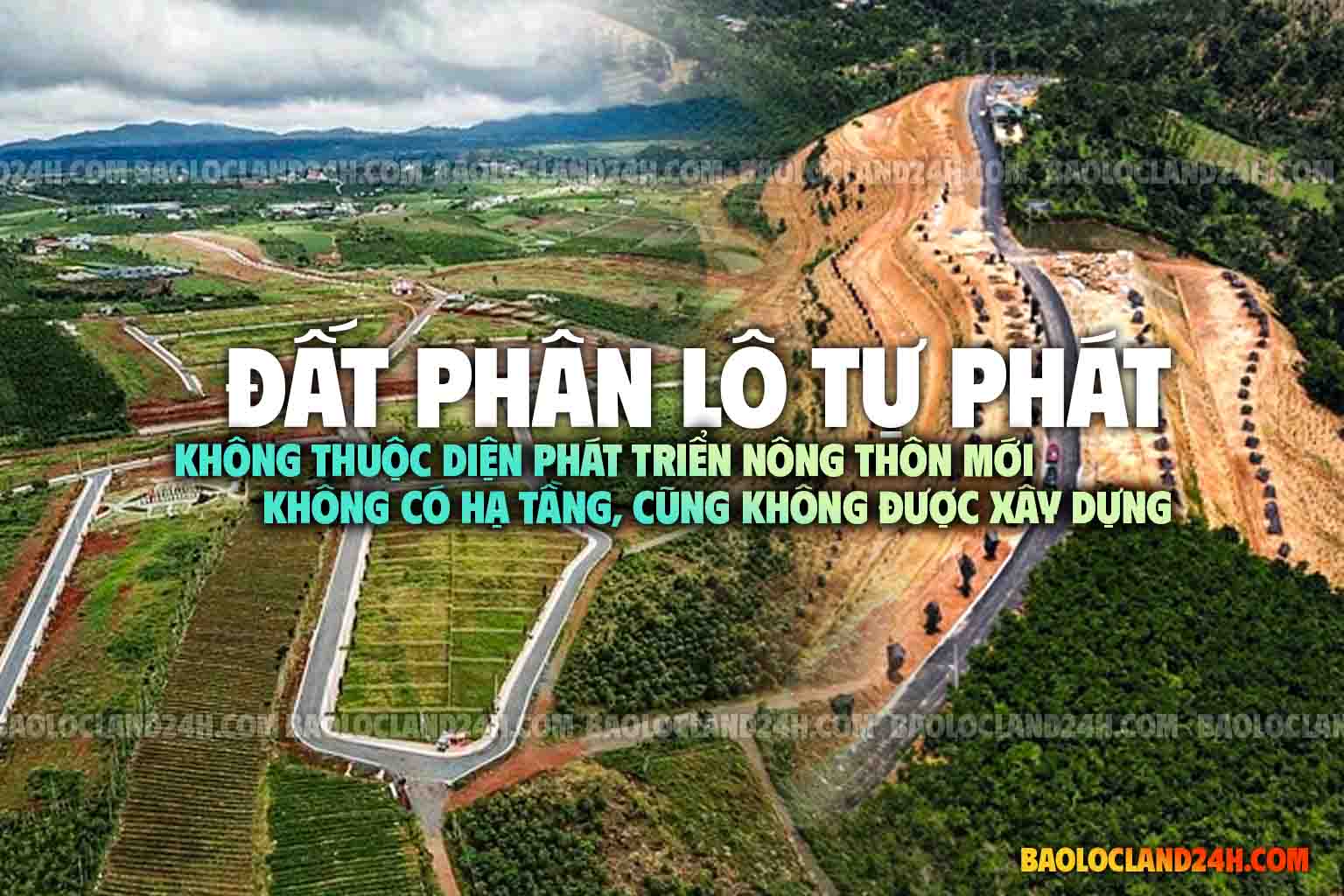 cẩn trọng mua đất phân lô tự phát bảo lộc