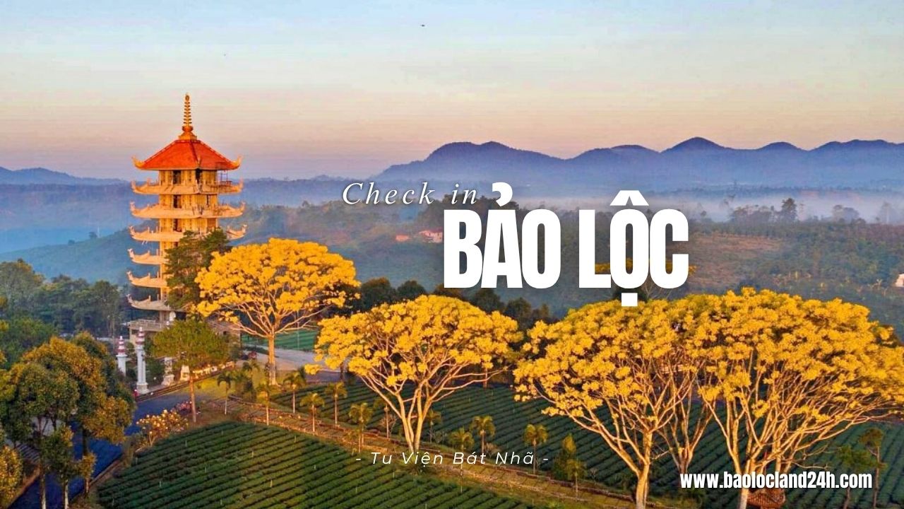 địa điểm check in bảo lộc