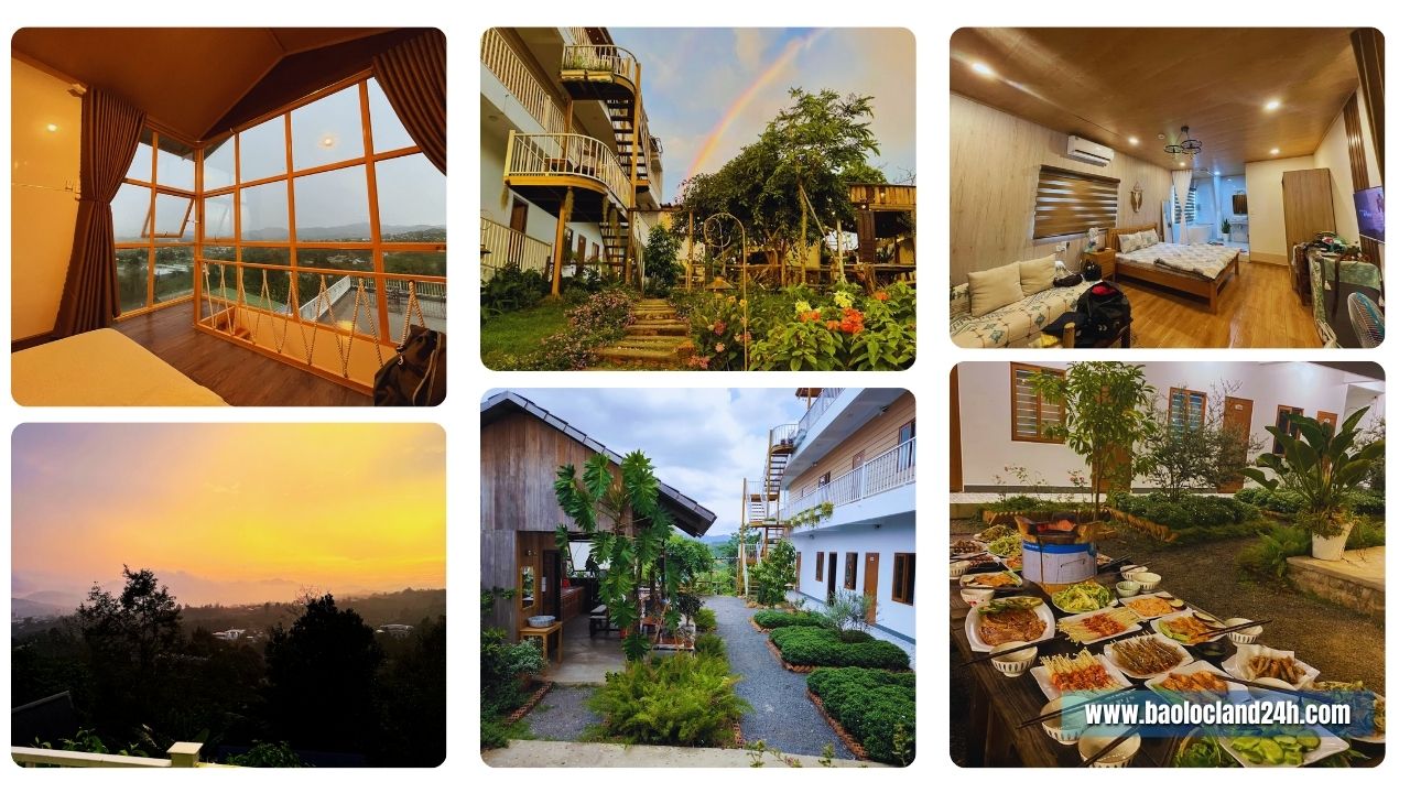 dứa homestay bảo lộc