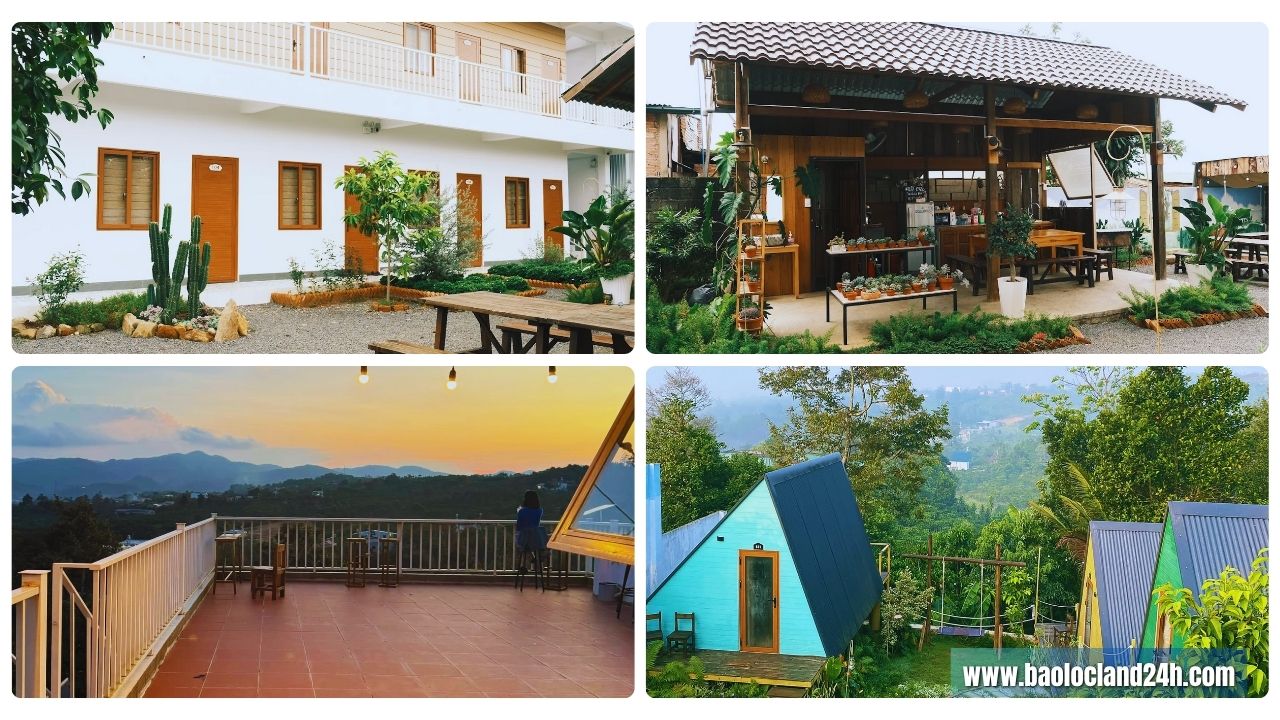 dứa homestay