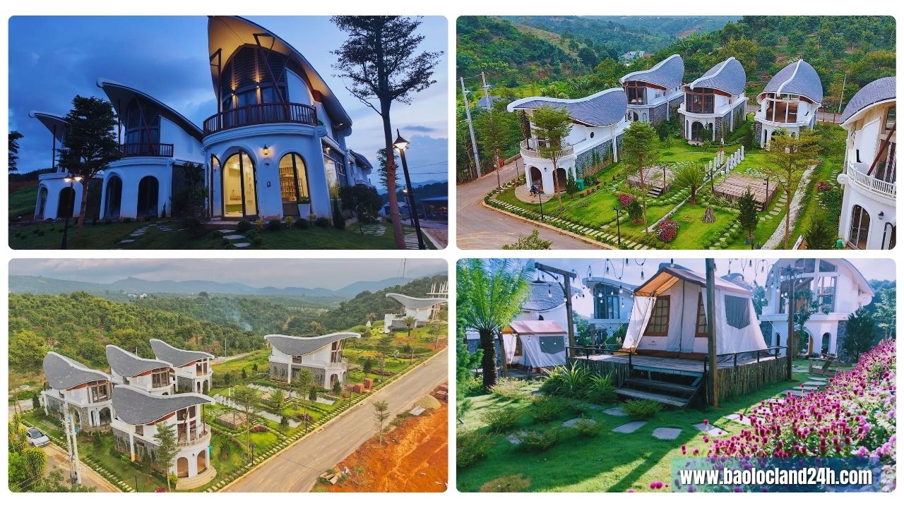 the leaf town bảo lộc