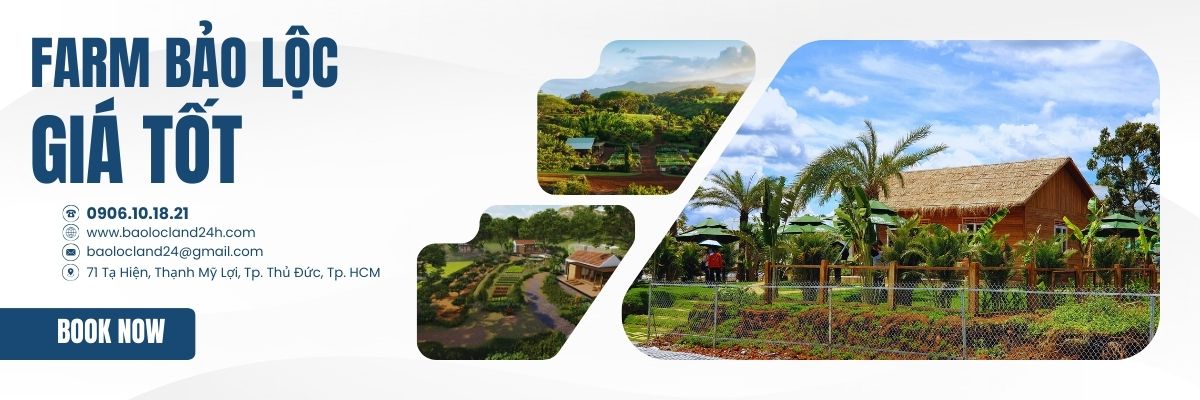 farm bảo lộc giá tốt