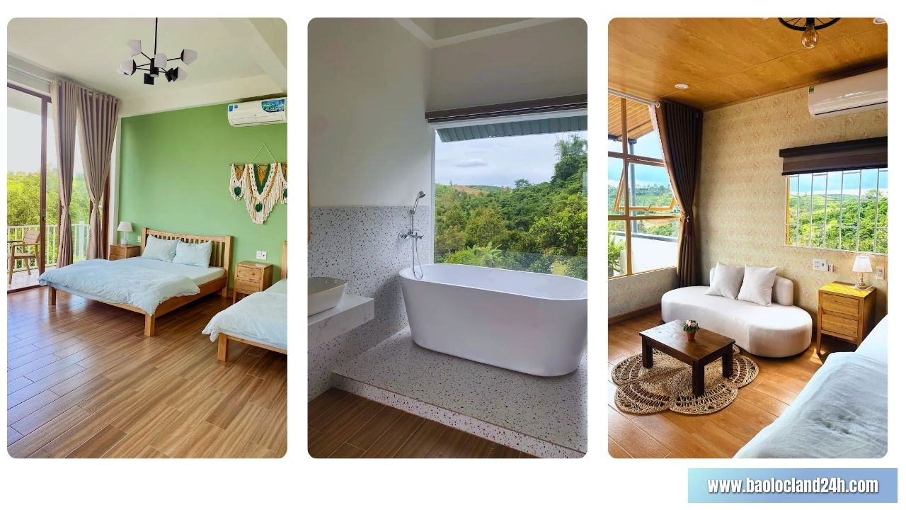dứa homestay ở bảo lộc