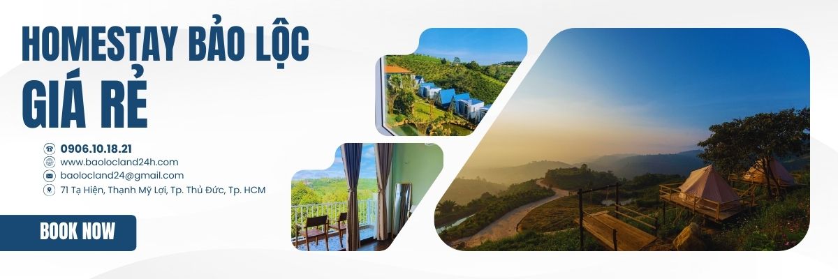 Homestay Bảo Lộc giá rẻ view đẹp