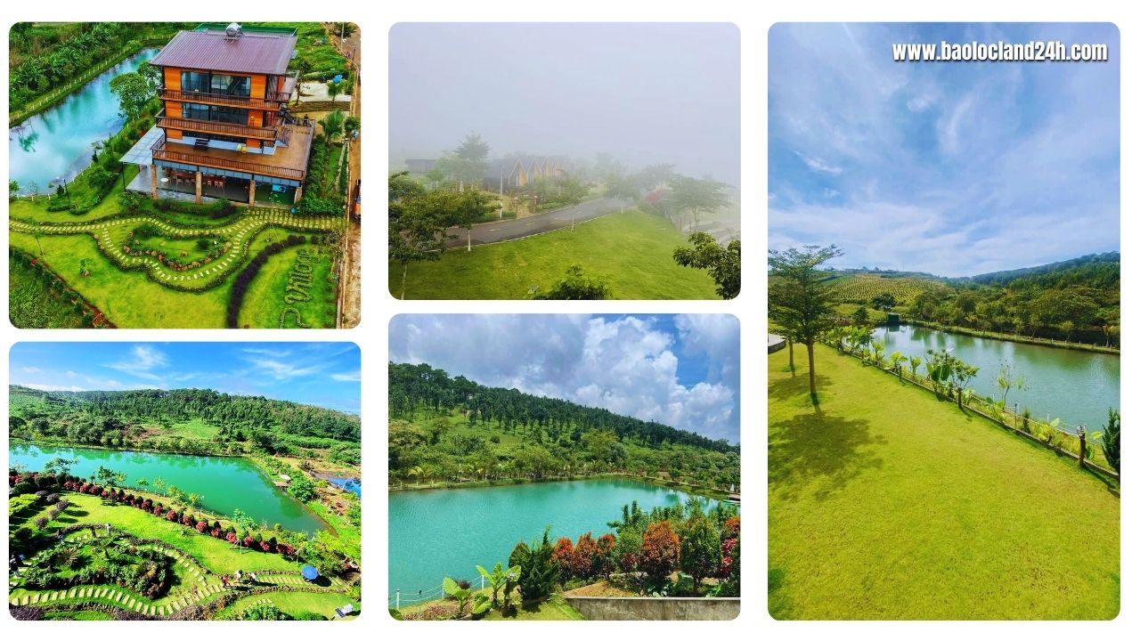 homestay làng omm bảo lộc