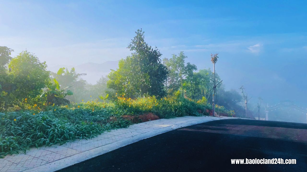 lô đất nghỉ dưỡng lộc đức