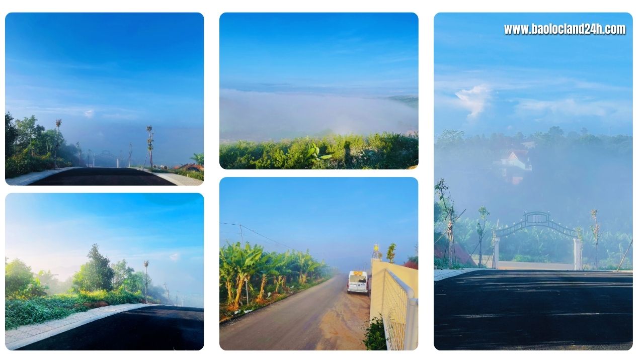 săn mây tại top garden hills 9b