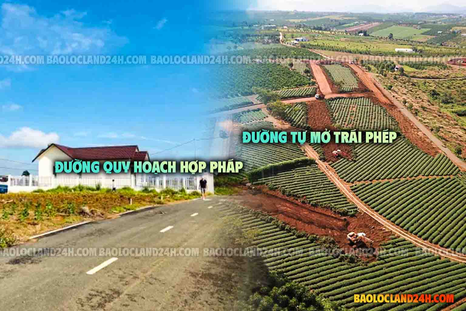 sai lầm mua đất bảo lộc