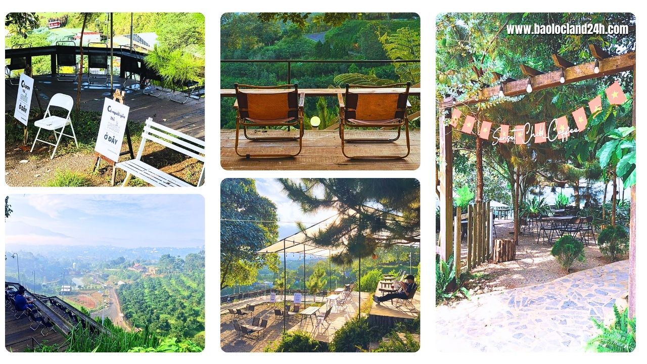 Cảnh quan sunset chill bảo lộc
