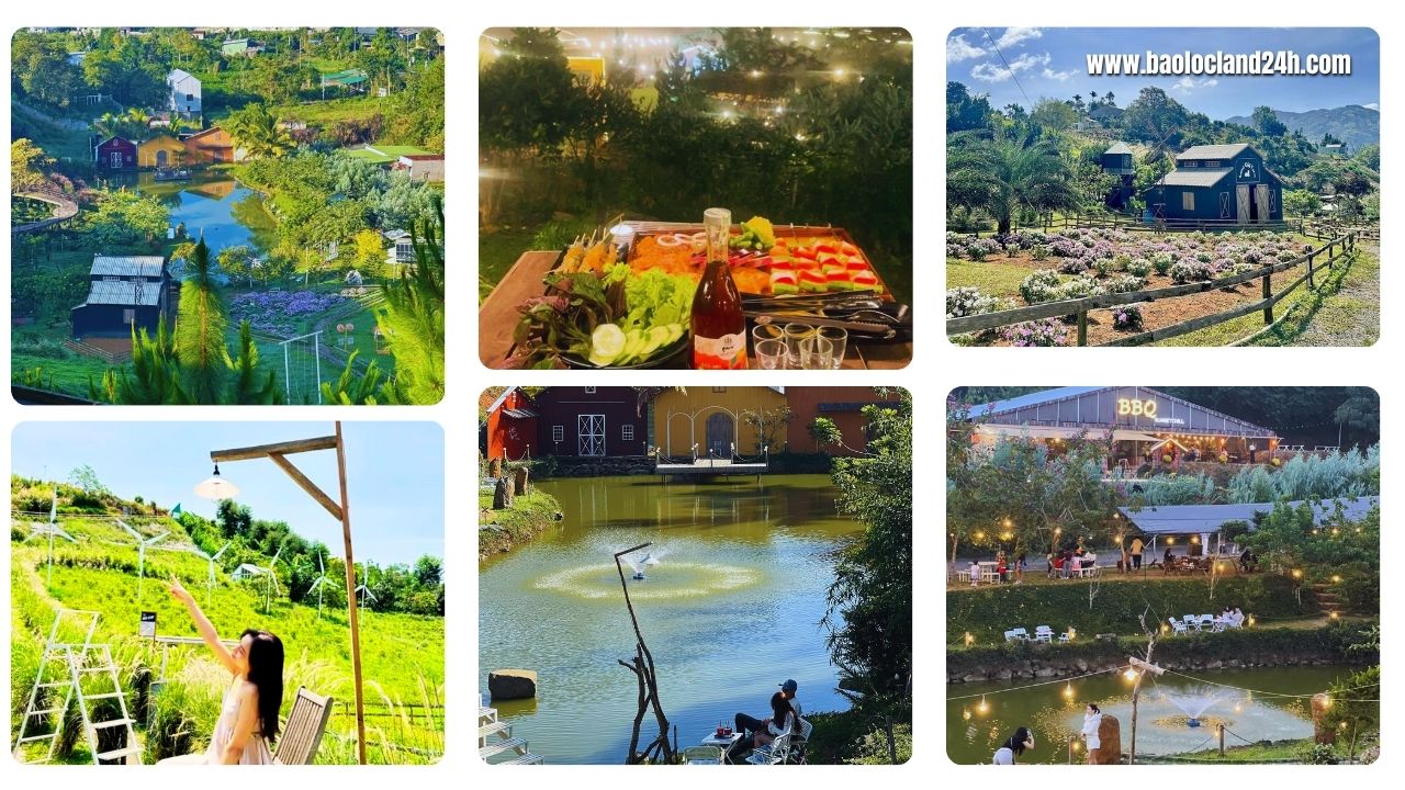 Sunset chill farm bảo lộc