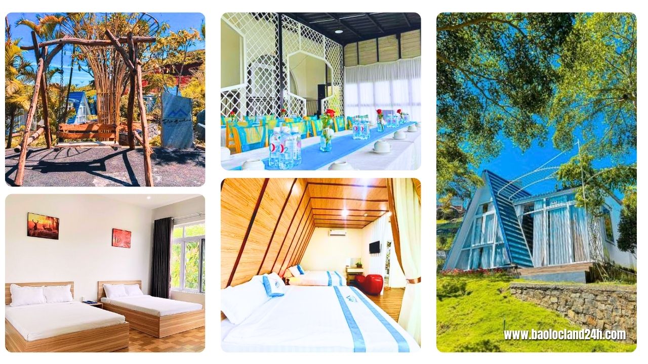 tulip garden homestay bảo lộc