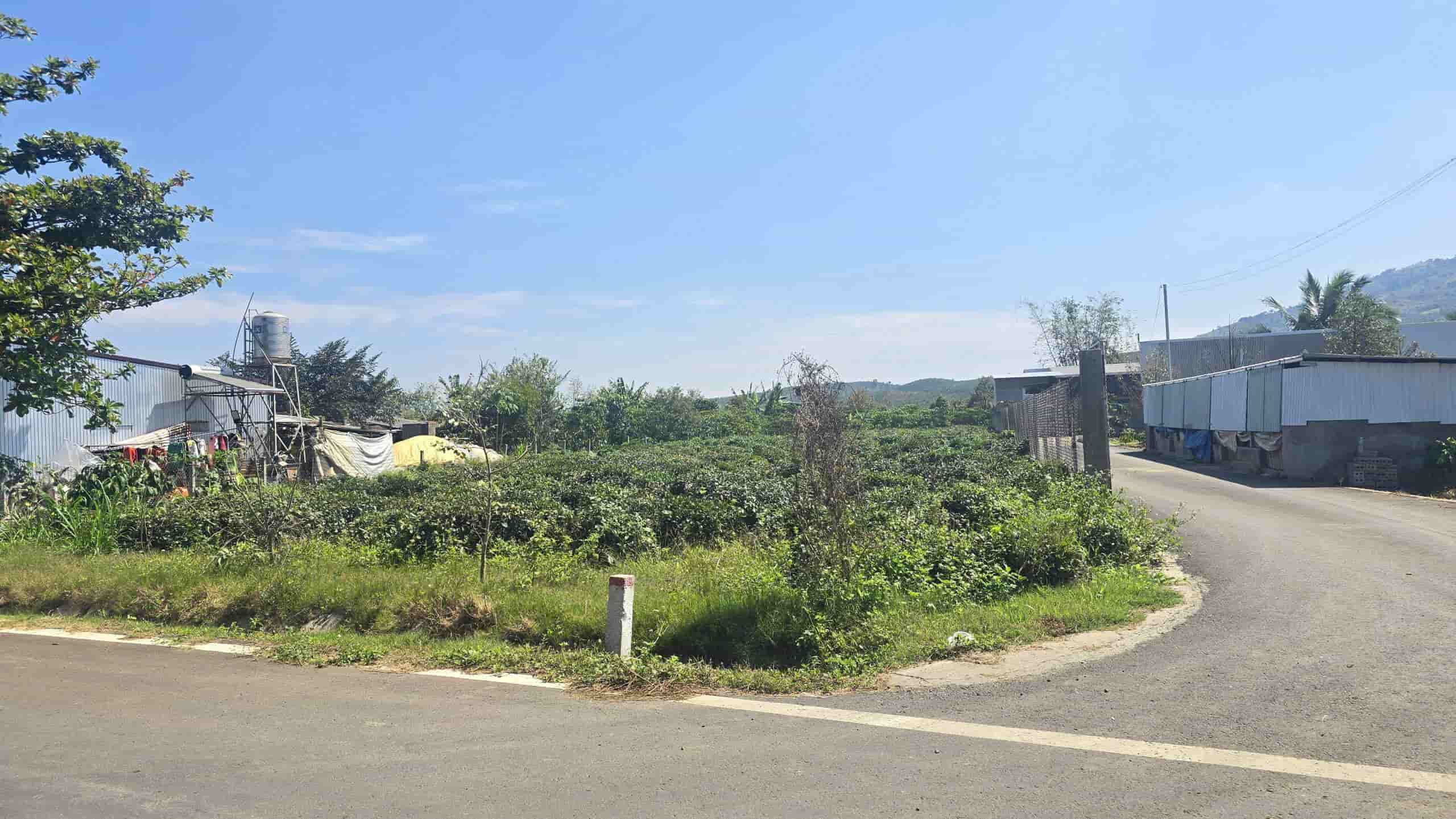 Đất Đinh Công Tráng Bảo Lộc 