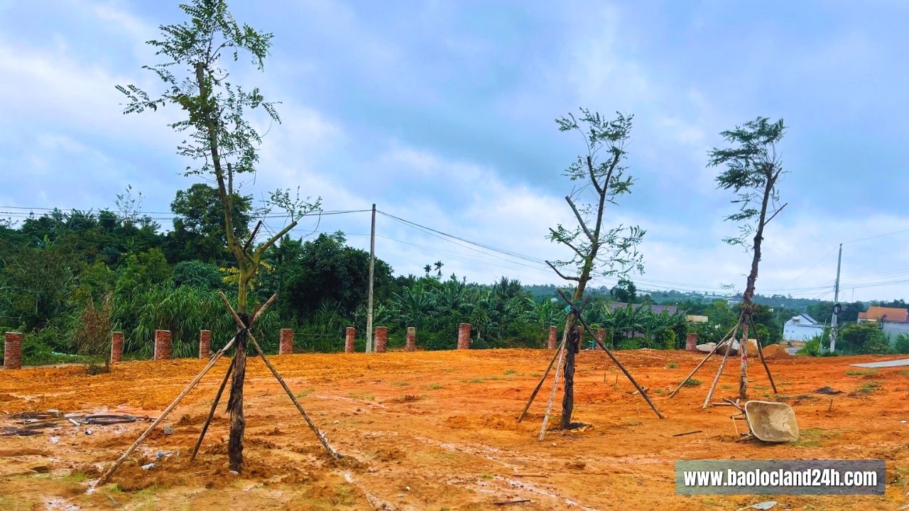  Đất Nền Top Garden Hills 9C