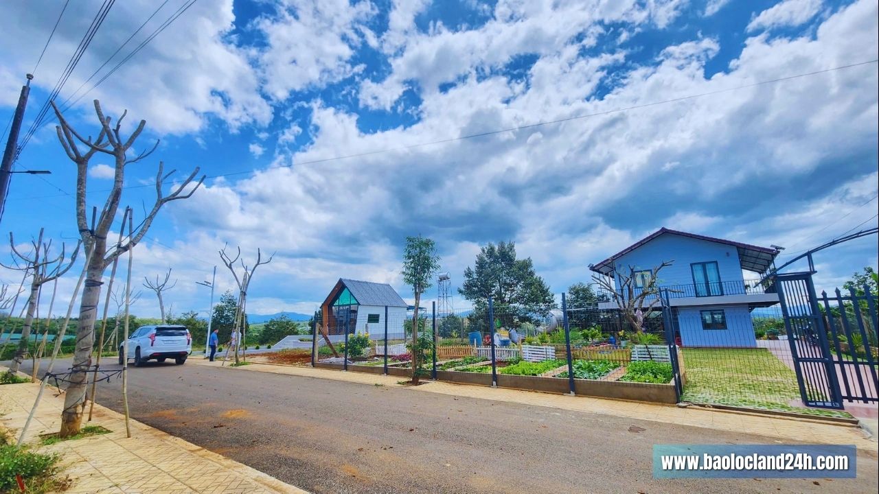 Đất nền DiLi Green Hill Đất nền DiLi Green Hill