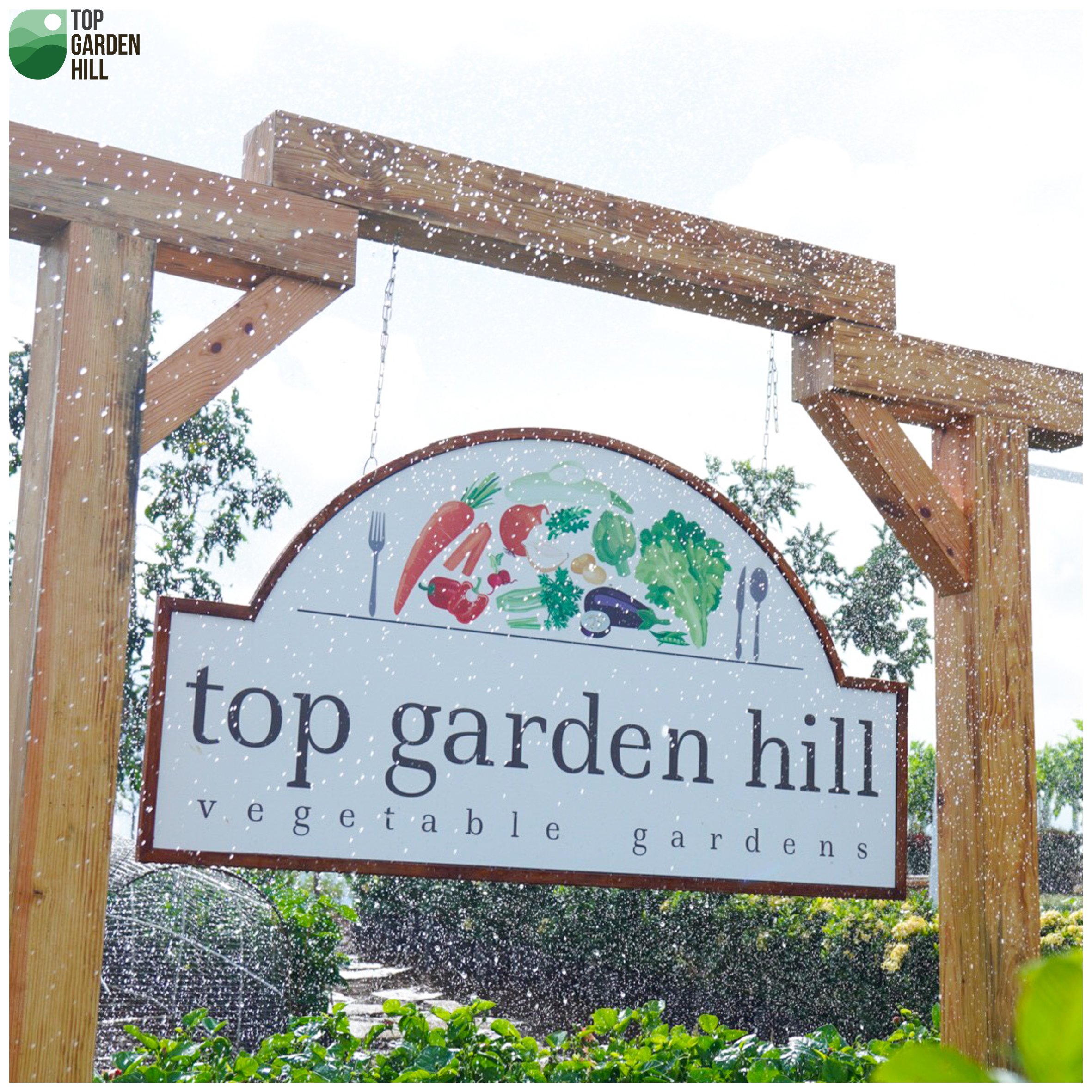 Top Garden hills 