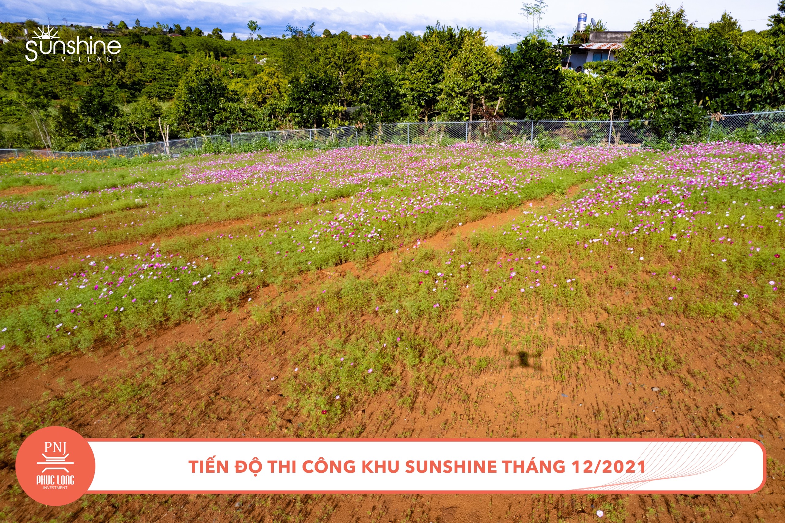 Đất Nền Sunshine village