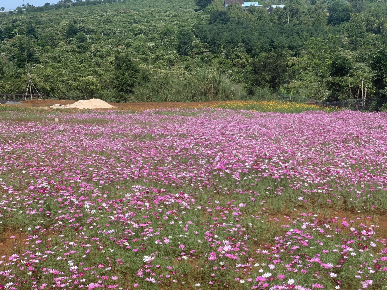 Đất Nền Sunshine village