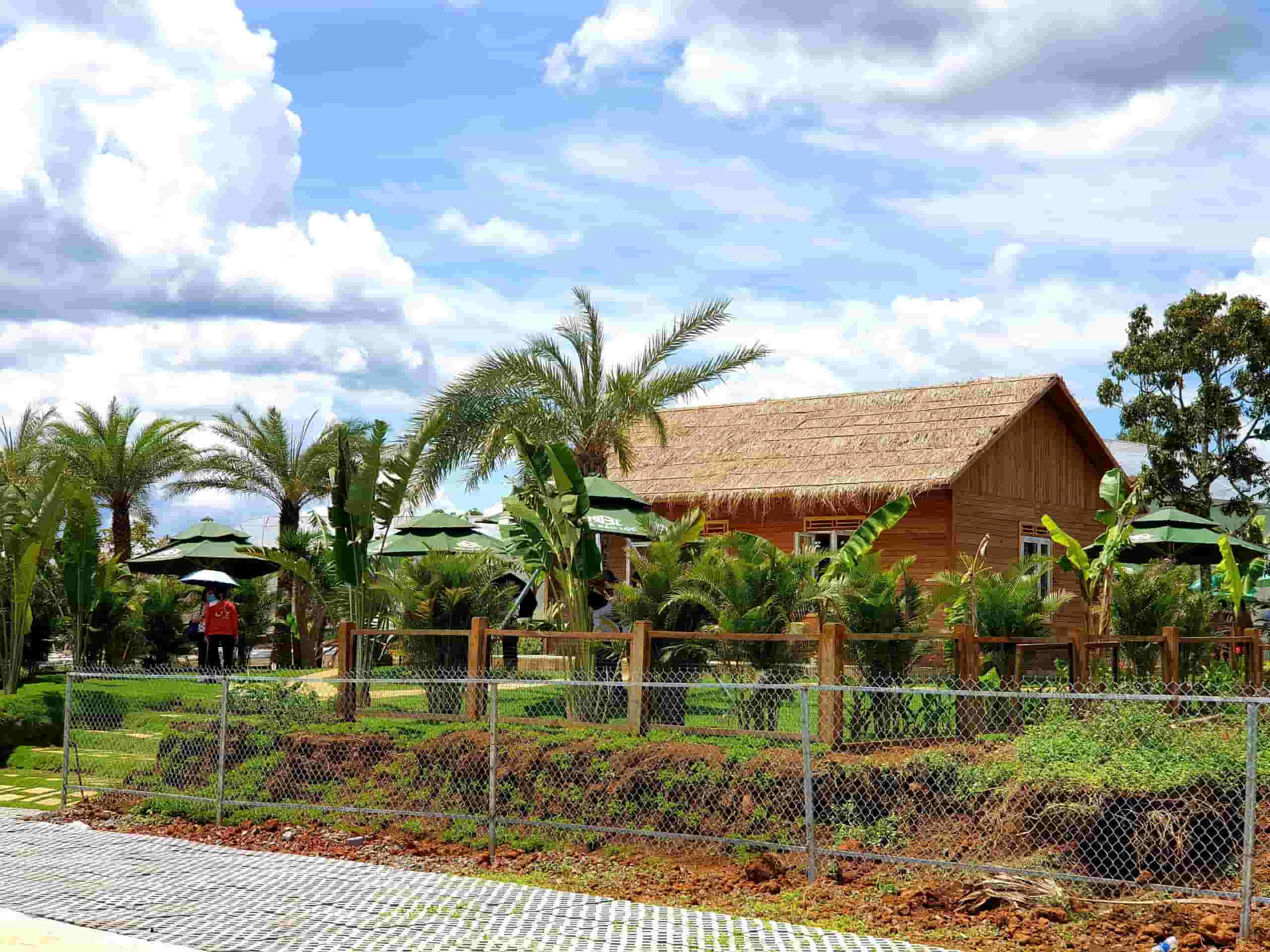 Farm Peru charapita