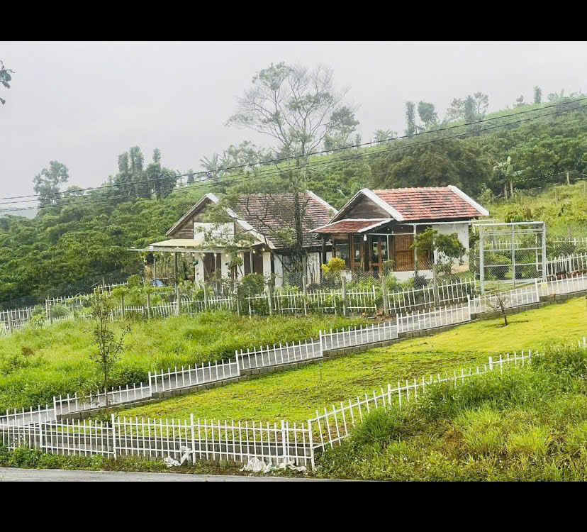 2 căn nhà gỗ 2 căn nhà gỗ