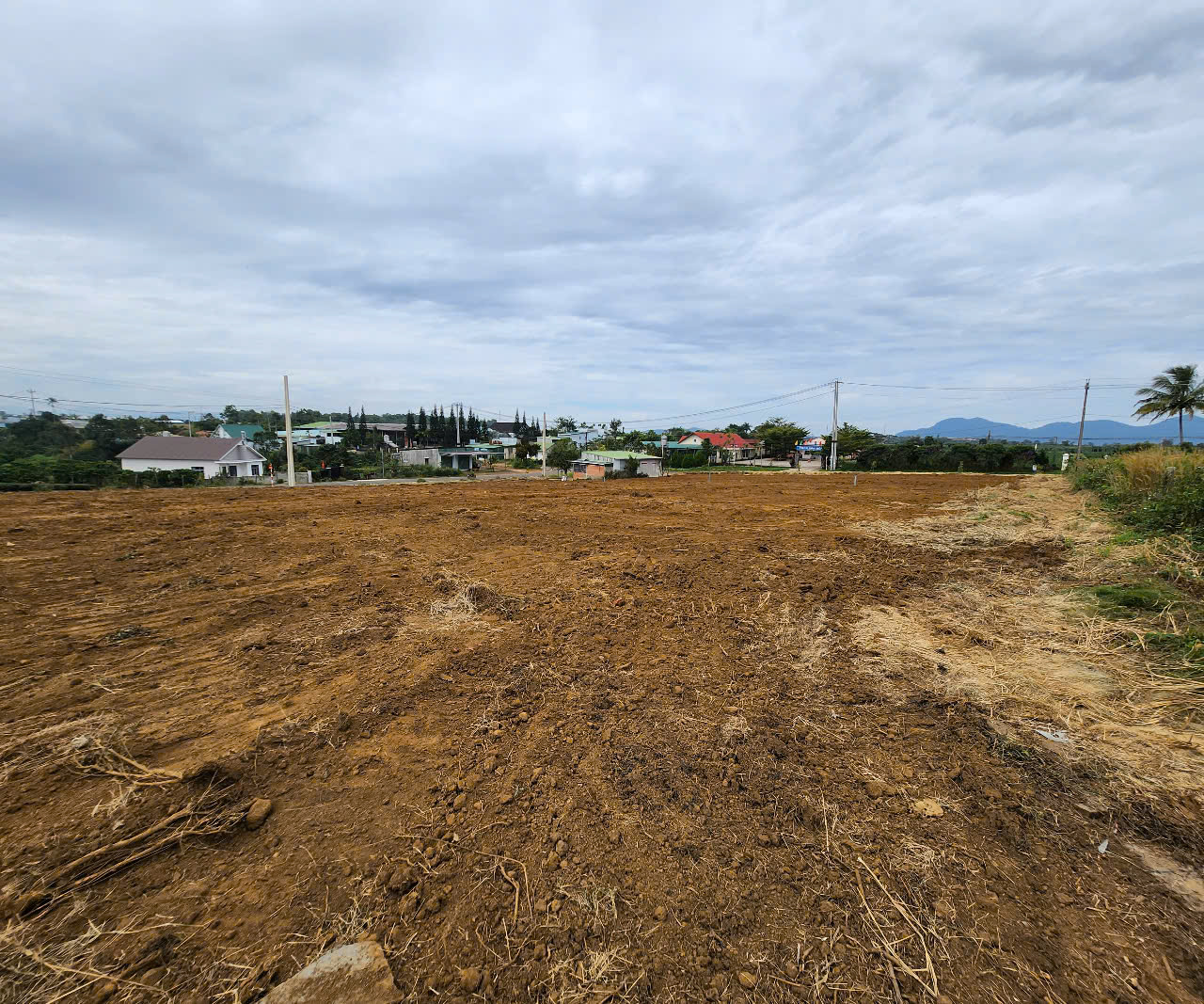 300m2 Đam bri 300m2 Đam bri
